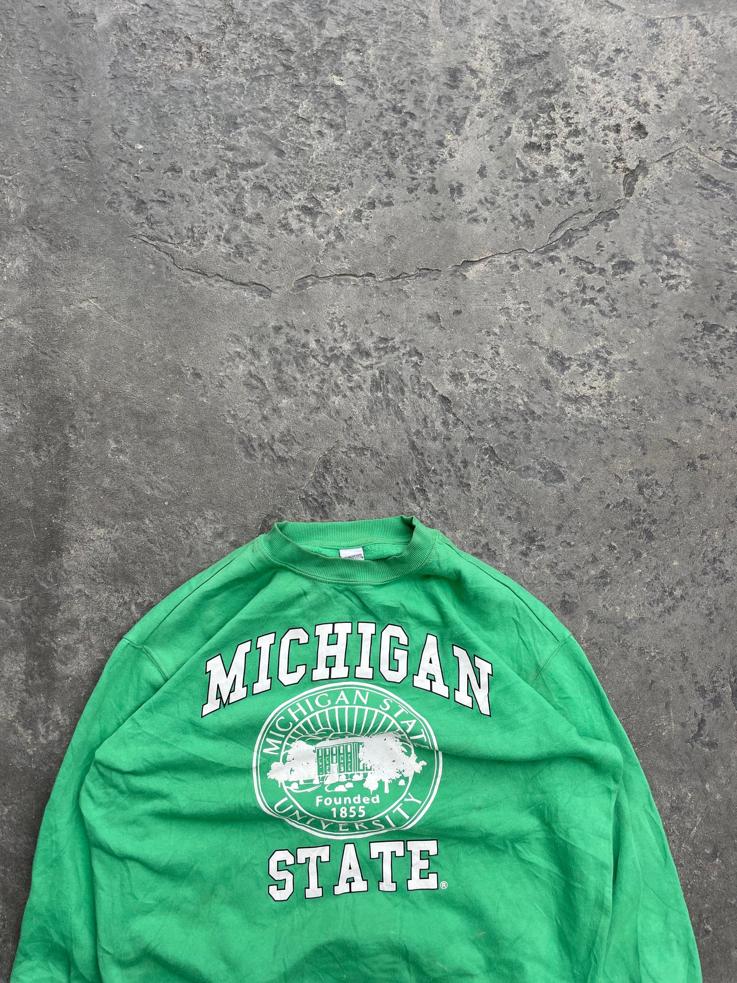 Vintage Michigan State University Sweatshirt (M)